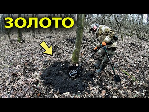 Видео: НАШЛИ В ЛЕСУ  ПОД КОРНЯМИ ДЕРЕВА, ЗОЛОТО!