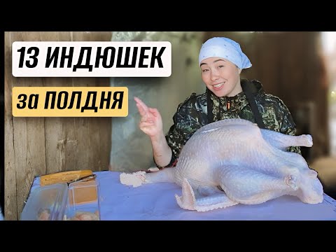 Видео: ЗАБОЙ ИНДЮКОВ: от А до Я