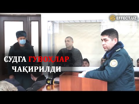 Видео: СУДДА ГУВОҲЛАР КЎРСАТМА БЕРДИ: САМАРҚАНДДА УРГУТЛИКЛАР СУДЛАНМОҚДА – EFFECT.UZ