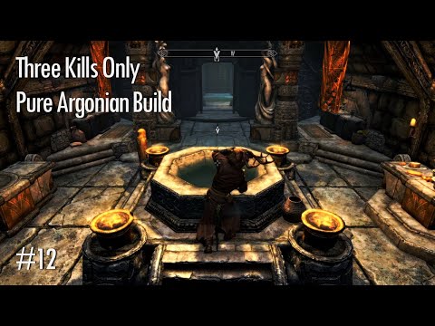 Видео: Зелья и благословения – Skyrim (SE) [Почти без убийств, чистый аргонианин], часть 12