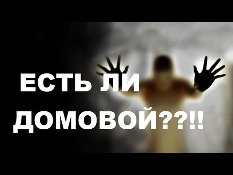 Видео: ТАК ЕСТЬ ЛИ ДОМОВОЙ ИЛИ НЕТ? РАССКАЗ НА ОСНОВЕ ВАШИХ КОММЕНТАРИЕВ!