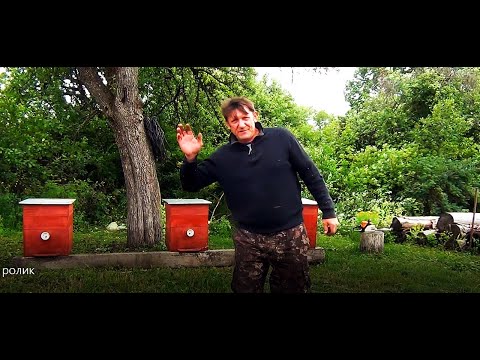 Видео: В одни руки. Стройка Хозяйство Пасека - Обзор