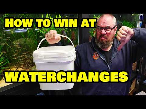 Видео: ВАЖНЫЕ советы, как облегчить замену воды!
