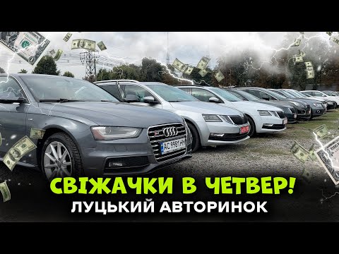 Видео: ЛУЦЬКИЙ АВТОРИНОК! СВІЖАЧКИ В ЧЕТВЕР! (05.09)