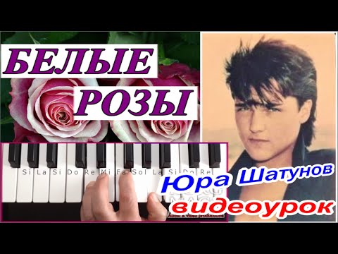 Видео: БЕЛЫЕ РОЗЫ_Ю.Шатунов_Л.Май_УРОК для синтезатора_скачать демо стиль для KORG 🎹 текст_аккорды