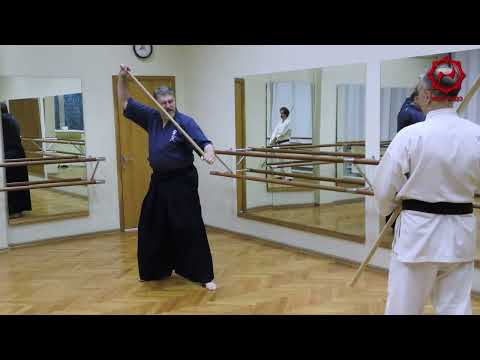 Видео: Прикладная техника кобудо. Дзё-дзютсу # 1