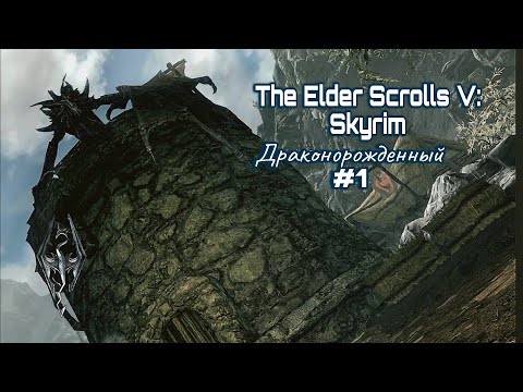 Видео: Драконорожденный│The Elder Scrolls V: Skyrim #1