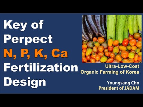 Видео: Ключ к идеальному плану внесения азотных, фосфорных, калийных и кальциевых удобрений. Органическо...