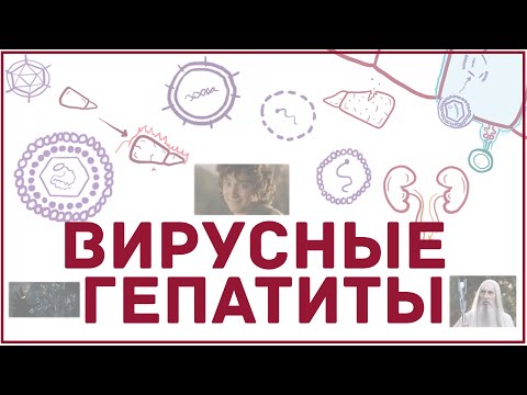 Видео: Вирусные гепатиты (A, B, C, D, E) - причины, симптомы, диагностика, серология