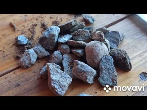 Видео: ГУЛЛАРНИ ЕРГА ЎТКАЗАМИЗ