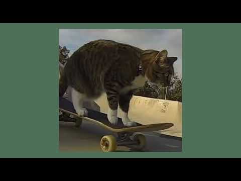 Видео: алёна швец - скейтер (speed up)