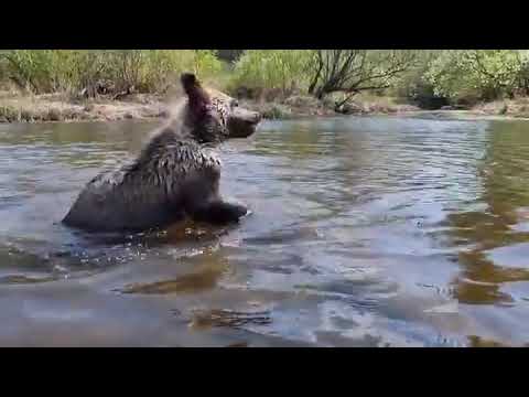 Видео: 🎈Машунька🐻