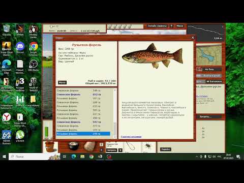 Видео: Русская рыбалка 3 рыбхоз кач опыта на форели