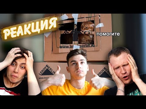 Видео: БРАЙН МАПС - Я построил ГИГАНТСКИЙ картонный домик для кота | РЕАКЦИЯ