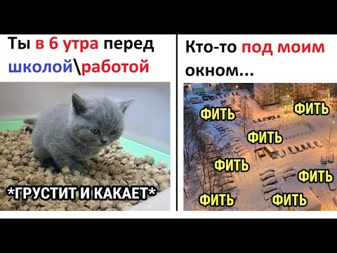 Видео: Лютые приколы. Ты в 6 утра перед школой...