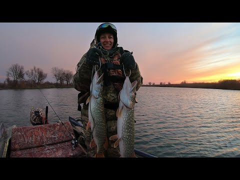 Видео: Рыбалка на щуку. Долгожданные поклёвки!