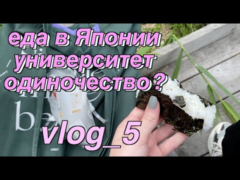 Видео: овсянка в Японии? еда за день, университет и мысли про одиночество//vlog_5