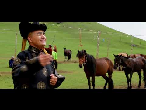 Видео: Аварга хээр-Д.Намсрайноров