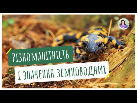 Видео: Різноманітність і значення земноводних