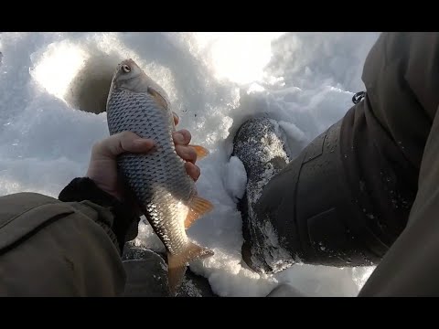 Видео: Зимняя рыбалка #2!