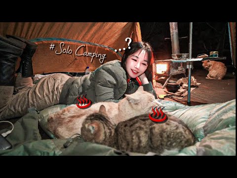 Видео: Зимний одиночный кемпинг друида / Бараньи ребрышки на углях + пиво / кошка