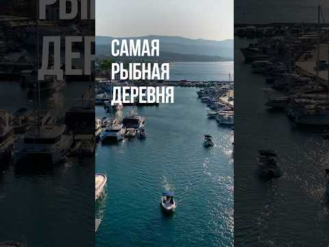 Видео: Деревня Лачи – Рыбная жемчужина острова 🇨🇾🎣 #кипр #лачи
