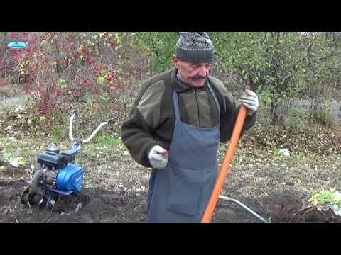 Видео: Посадите малину именно ТАК и ВСЕГДА будете с урожаем!!!