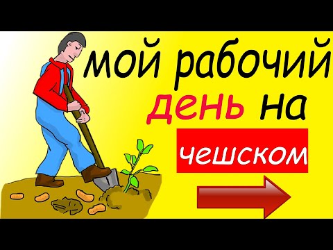 Видео: Мой рабочий день на чешском