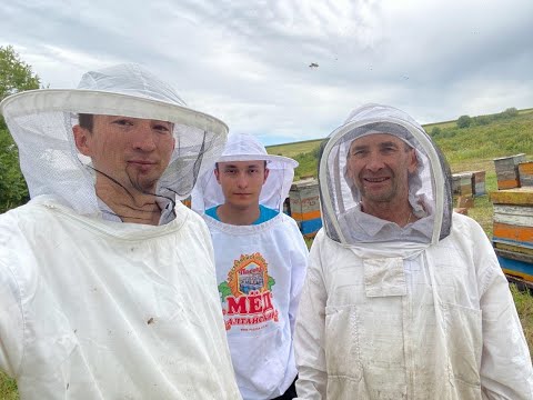 Видео: Пчеловодный сезон 2022