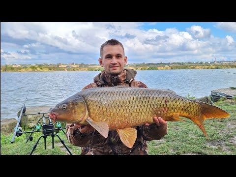 Видео: Осінній ТРОФЕЙ. Спіймав великого САЗАНА на річці Дністер. Риболовля з ночівлею 2024. ЛЯЩ на фідер