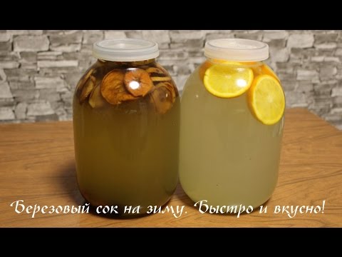 Видео: Как закрыть березовый сок на зиму. Самый вкусный березовый сок!
