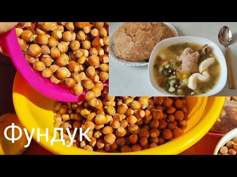 Видео: Наше життя в цей темний час! 