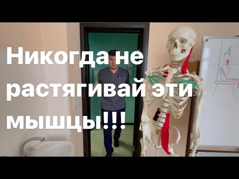 Видео: Эти мышцы запрещено растягивать каждому! Никогда не растягивай эти мышцы!