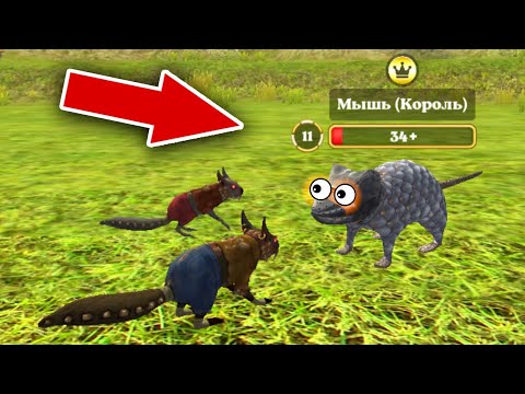 Видео: ПОБЕДИЛИ ГРОЗНЫХ БОССОВ КОРОЛЕЙ в СИМУЛЯТОРЕ БЕЛКИ 2 ОНЛАЙН