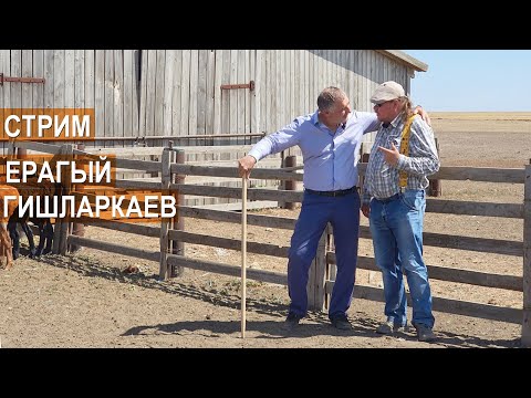 Видео: Стрим с Ерагыем Исаевичем Гишларкаевым. Бизнес в овцеводстве. Ответы на вопросы зрителей