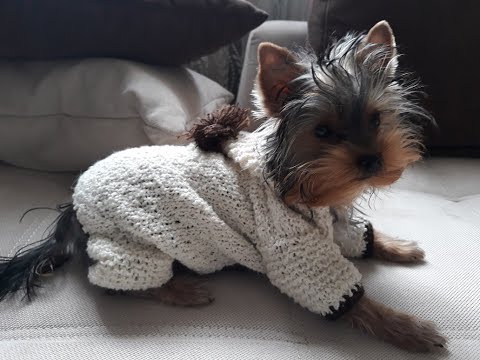 Видео: Комбинезон спицами для щенка. Часть 1.