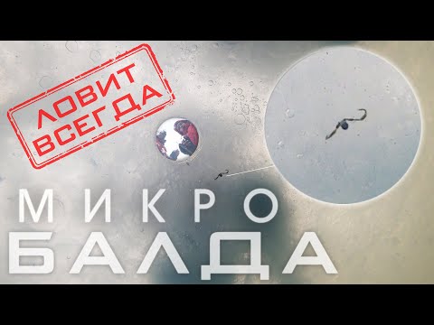 Видео: микро БАЛДА самая УЛОВИСТАЯ зимняя СНАСТЬ на окуня и плотву