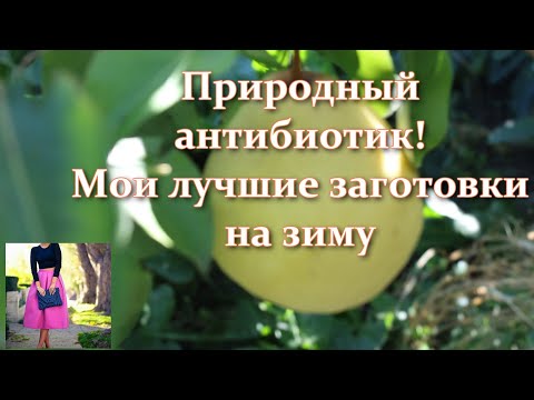 Видео: Вы не знаете, куда девать груши? Груша как природный антибиотик: заготовка на зиму - просто и вкусно
