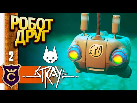 Видео: ОЧАРОВАТЕЛЬНЫЙ РОБОТ НАПАРНИК! Stray #2