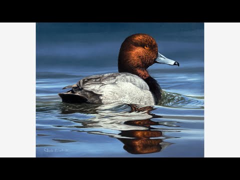 Видео: МАСЛЯНАЯ ЖИВОПИСЬ – Советы себе молодому, Вода и размышления, Искусство дикой природы