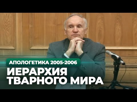 Видео: Иерархия тварного мира (МДА, 2006.01.31) — Осипов А.И.