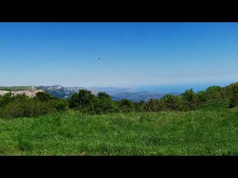 Видео: На Тырке-Яйле🌄