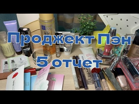 Видео: PROJECT PAN 2023  | пятый отчет | проджект пэн