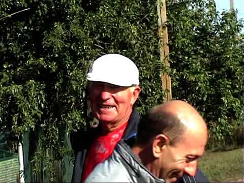 Видео: Фильм 78.  Кориневич В.Н.  1ч.Разговор  о  Кир. без круж.  голубях  и  не  только ....