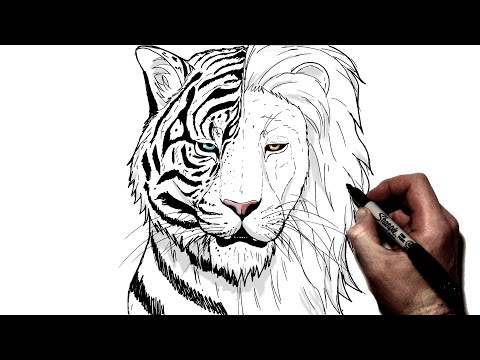 Видео: Как нарисовать тигра/льва | Пошагово