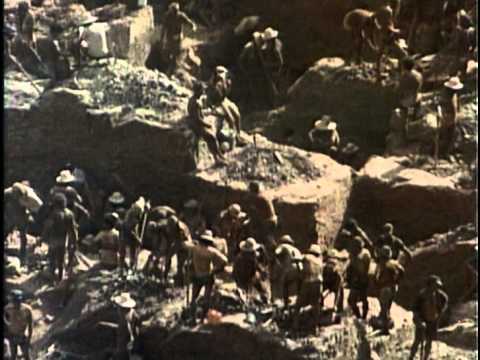 Видео: 7 - Одиссея Жака Кусто -  Золотая река