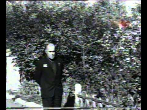 Видео: В воздухе Яки