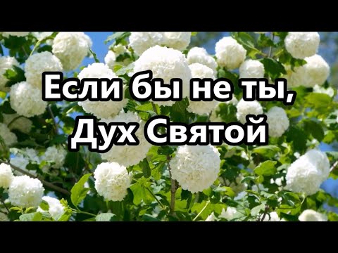 Видео: Если бы не ты, Дух Святой