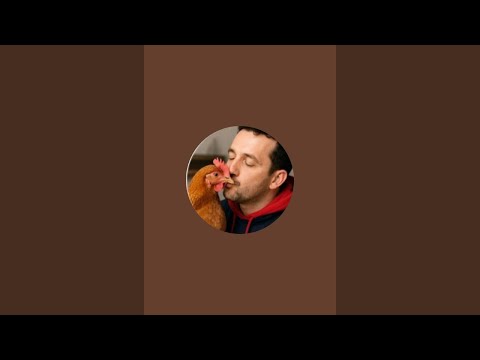 Видео: Проф в прямом эфире!