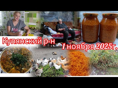 Видео: Засолка морковки/Готовлю зелёный борщ/Была у мамы/Убираю цветы с полисадника.